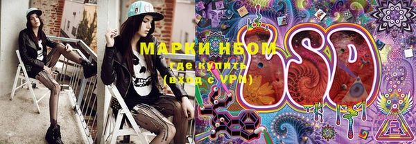 стаф Козловка