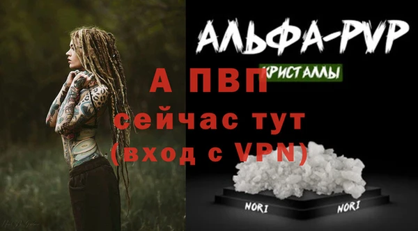 ECSTASY Кодинск