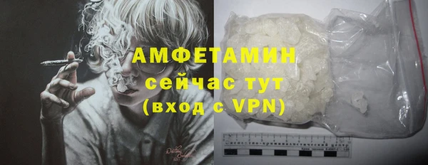 стаф Козловка