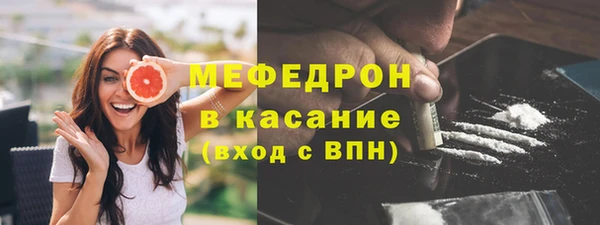 стаф Козловка