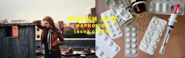 стаф Козловка