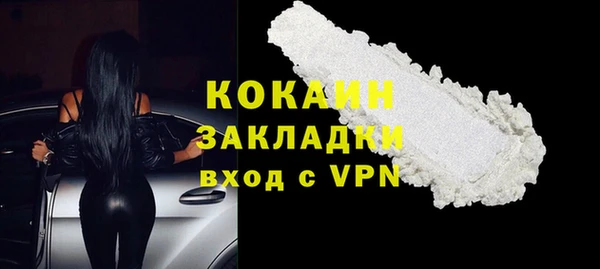 стаф Козловка