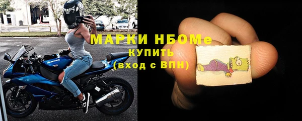стаф Козловка