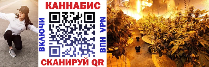 Шишки марихуана VHQ  даркнет сайт  Одинцово 